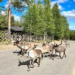 Arctic Ski-in Family - Lapland National Park, Slopes, Trails, Just Steps From Local Services, Yet Peaceful