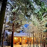 Arctic Ski-in Family - Lapland National Park, Slopes, Trails, Just Steps From Local Services, Yet Peaceful