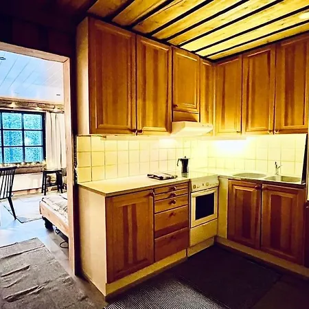 Arctic Lapland In Family Studio, Wi-fi, National Park - Lapland Pyhätunturi