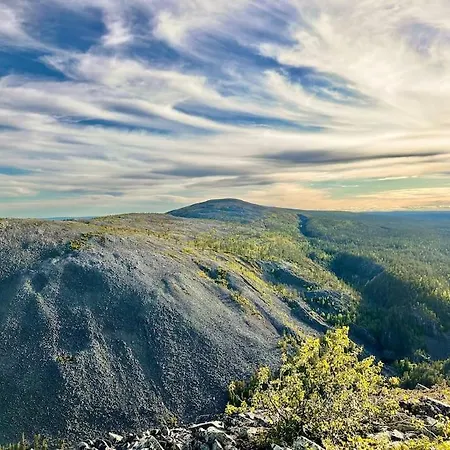 Arctic Lapland In Family Studio, Wi-fi, National Park - Lapland Apartment