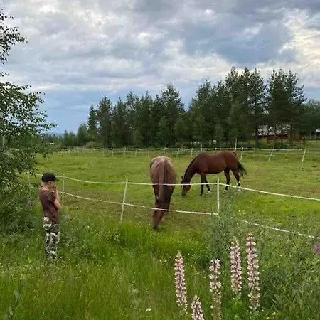 Apartman Arctic Lapland In Family Studio, Wi-fi, National Park - Lapland