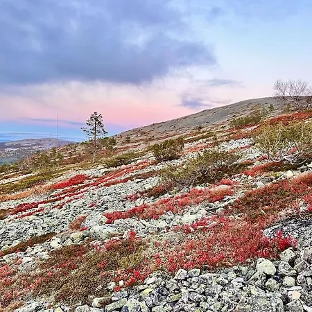 Apartman Arctic Lapland In Family Studio, Wi-fi, National Park - Lapland