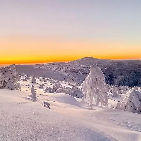 Arctic Ski-in Family - Lapland National Park, Slopes, Trails, Just Steps From Local Services, Yet Peaceful アパート *
