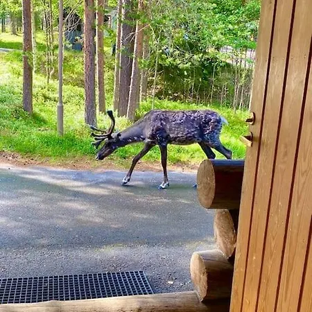 Arctic Lapland In Family Studio, Wi-fi, National Park - Lapland Apartman Pyhätunturi