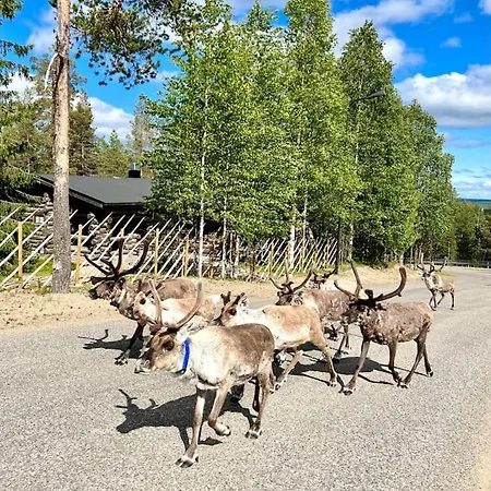 Arctic Lapland In Family Studio, Wi-fi, National Park - Lapland