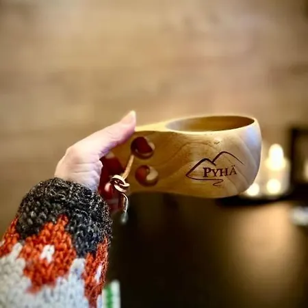 Apartamento Arctic Lapland In Family Studio, Wi-fi, National Park - Lapland Pyhätunturi