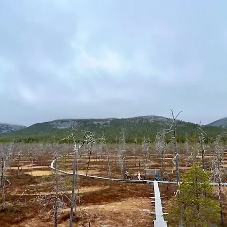 Appartement Arctic Lapland In Family Studio, Wi-fi, National Park - Lapland