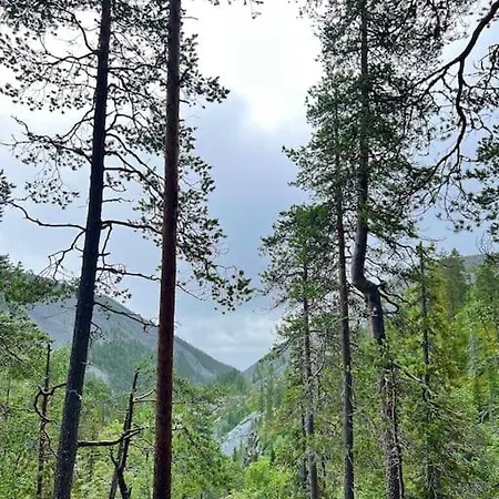 Apartamento Arctic Lapland In Family Studio, Wi-fi, National Park - Lapland Pyhätunturi