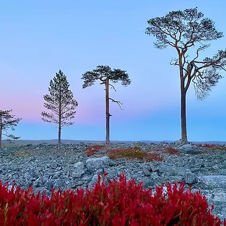 Arctic Lapland In Family Studio, Wi-fi, National Park - Lapland * Pyhätunturi