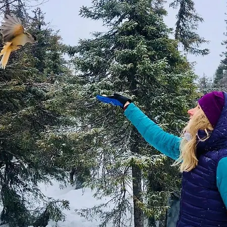 Arctic Lapland In Family Studio, Wi-fi, National Park - Lapland *