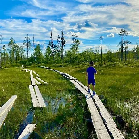 Arctic Lapland In Family Studio, Wi-fi, National Park - Lapland