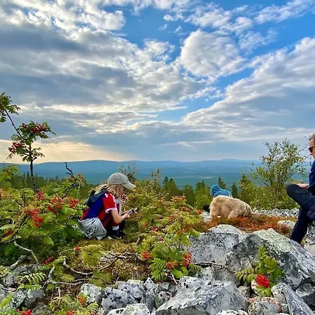 Arctic Lapland In Family Studio, Wi-fi, National Park - Lapland Apartamento *