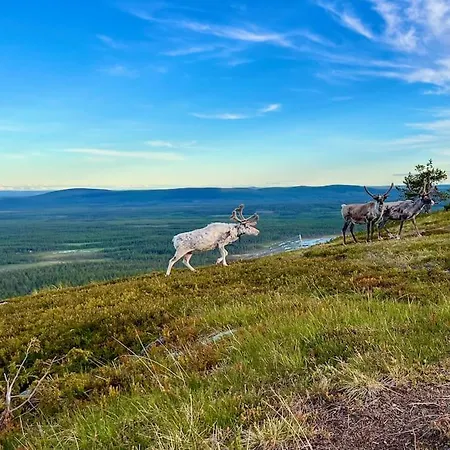 Arctic Lapland In Family Studio, Wi-fi, National Park - Lapland Apartman *