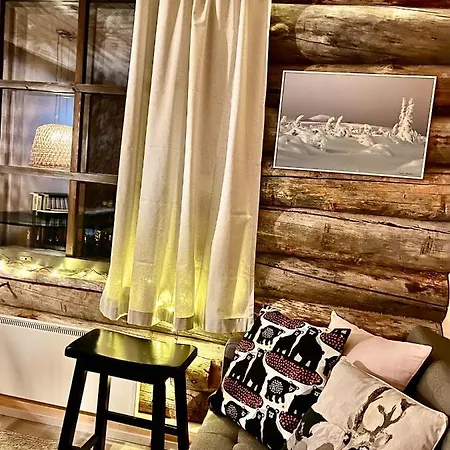 Apartman Arctic Lapland In Family Studio, Wi-fi, National Park - Lapland Pyhätunturi