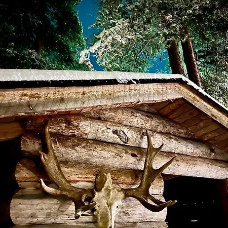 Apartman Arctic Lapland In Family Studio, Wi-fi, National Park - Lapland *