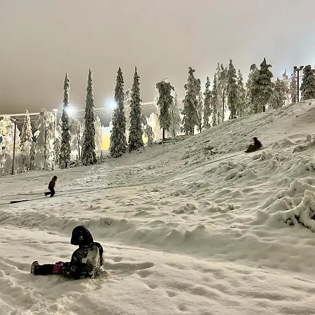 Arctic Lapland In Family Studio, Wi-fi, National Park - Lapland Pyhätunturi
