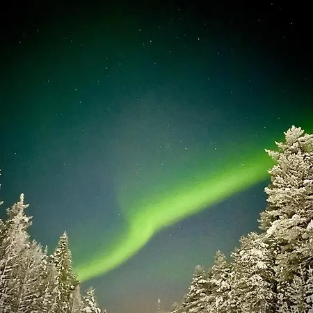 Arctic Lapland In Family Studio, Wi-fi, National Park - Lapland Pyhätunturi