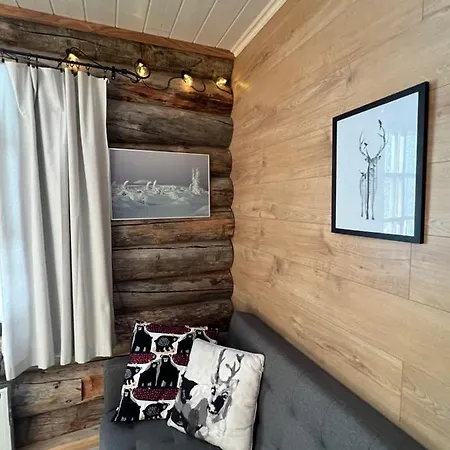 Arctic Lapland In Family Studio, Wi-fi, National Park - Lapland Apartamento Pyhätunturi