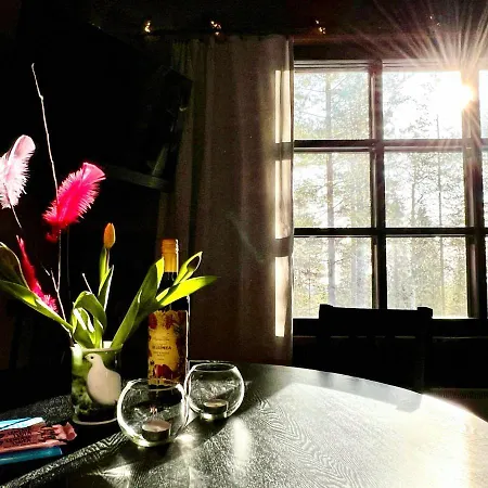 Arctic Lapland In Family Studio, Wi-fi, National Park - Lapland