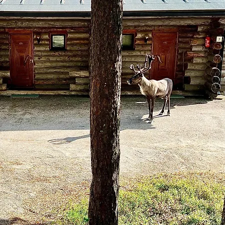 Arctic Lapland In Family Studio, Wi-fi, National Park - Lapland